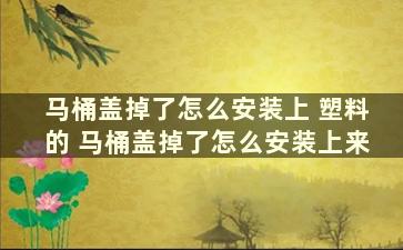 马桶盖掉了怎么安装上 塑料的 马桶盖掉了怎么安装上来